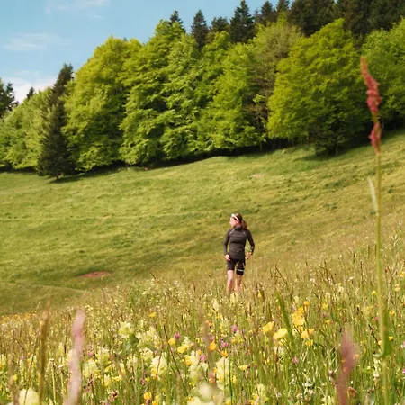 Quartier Libre Saint-Jean-en-Royans